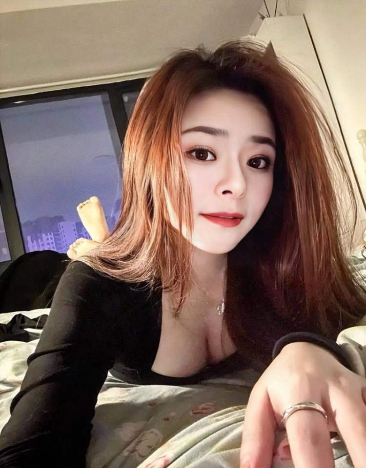 三年成全在线观看大全,HD高清